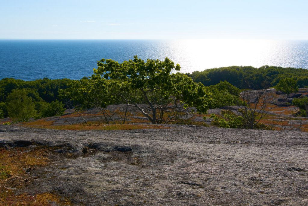 Aussicht Hanö