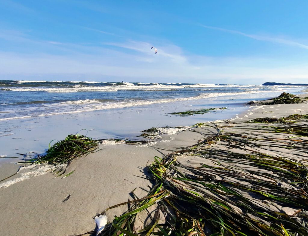 Strand bei Thiessow