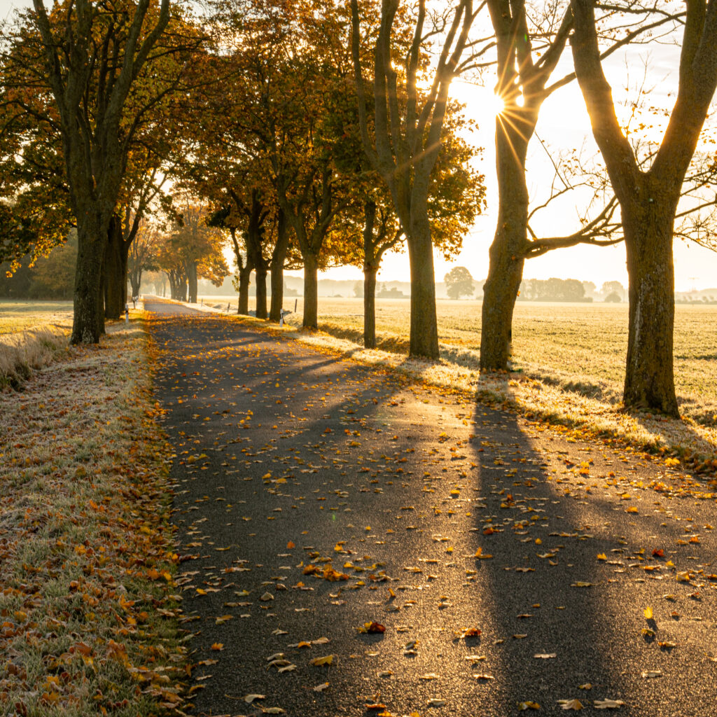 where the streets have no name..